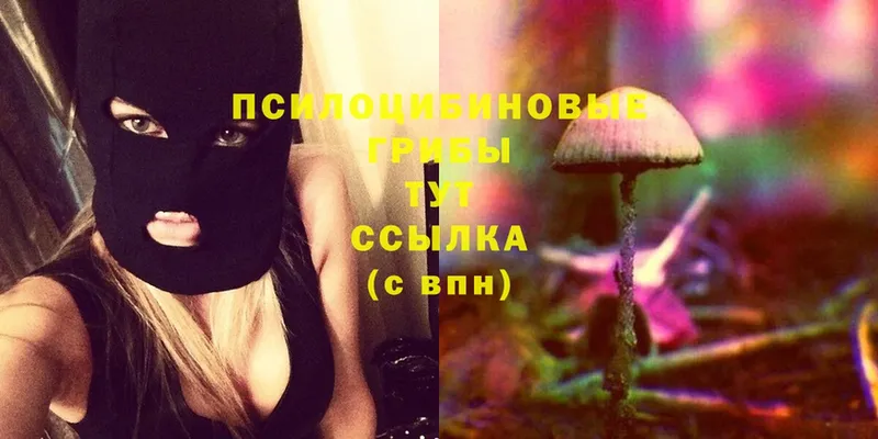 Галлюциногенные грибы Cubensis  Джанкой 